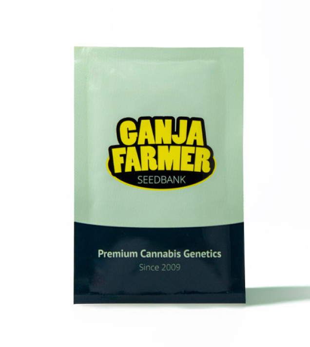 GMO Fast