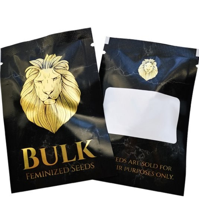 Auto Cheese XL SOLDES