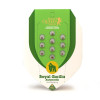 Royal Gorilla Automatic SOLDES