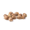 Zkittle Auto SOLDES