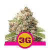 Triple G SOLDES