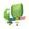 Triple G Auto SOLDES