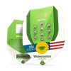 Watermelon Automatic SOLDES