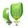 Haze Berry Auto SOLDES