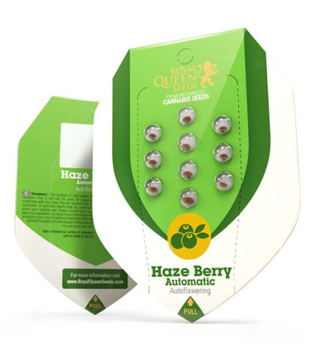 Haze Berry Auto SOLDES