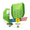 Mimosa Automatic SOLDES