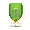 Royal Cookies Autoflowering SOLDES