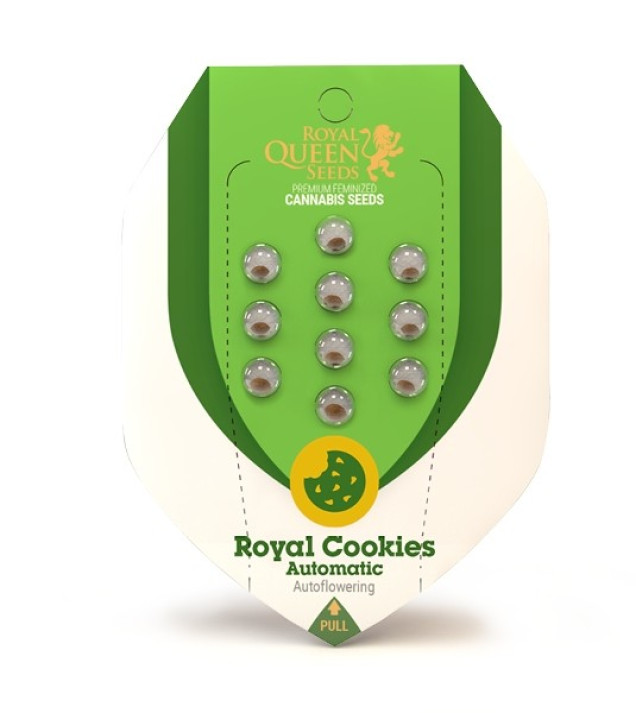Royal Cookies Autoflowering SOLDES