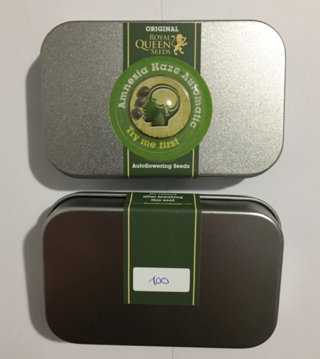 Amnesia Haze Automatic SOLDES