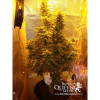 Amnesia Haze Automatic SOLDES