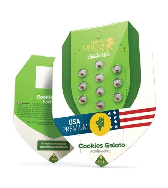 Cookies Gelato Auto SOLDES