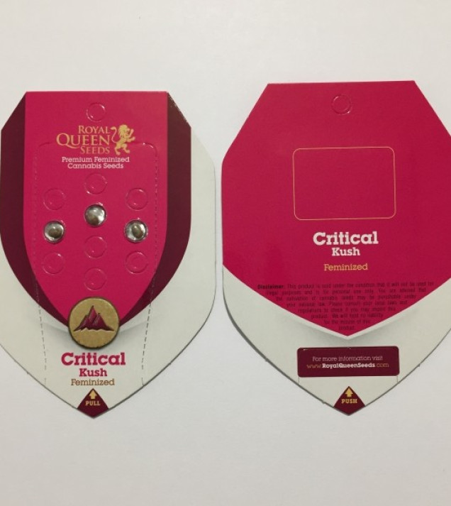 Critical Kush SOLDES