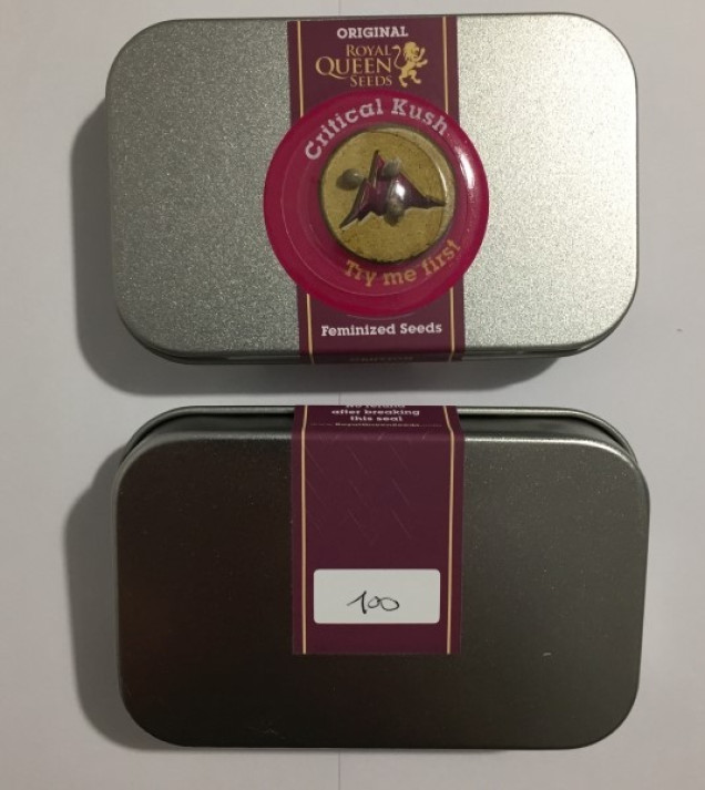 Critical Kush SOLDES