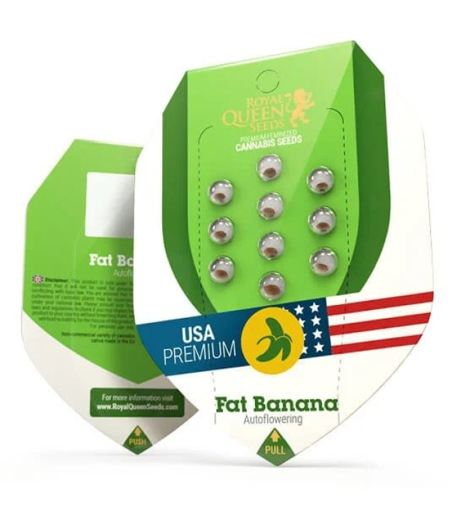 Fat Banana Automatic SOLDES
