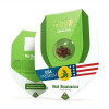 Fat Banana Automatic SOLDES