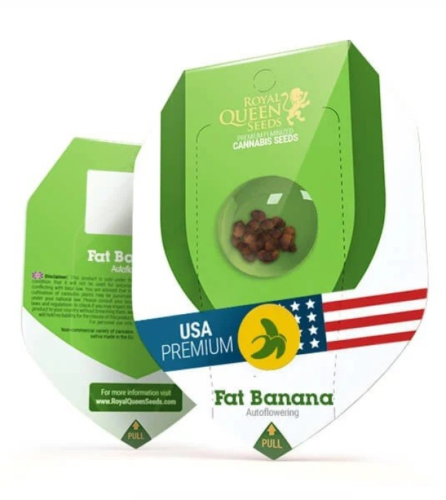Fat Banana Automatic SOLDES