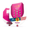 Gushers SOLDES