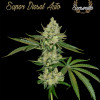Super Diesel Auto