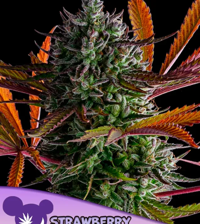 Strawberry Pop Rocks