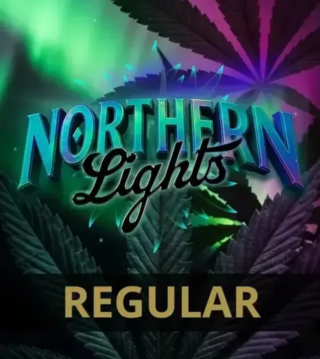Northern Lights Regular