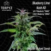 Blueberry Lime Kush AD Regular 