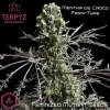Mentha de Croco Fern BX1 F2 