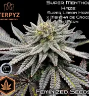 Super Menthol Haze