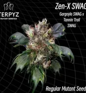Zen-X Swag Regular