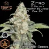 Zitro 