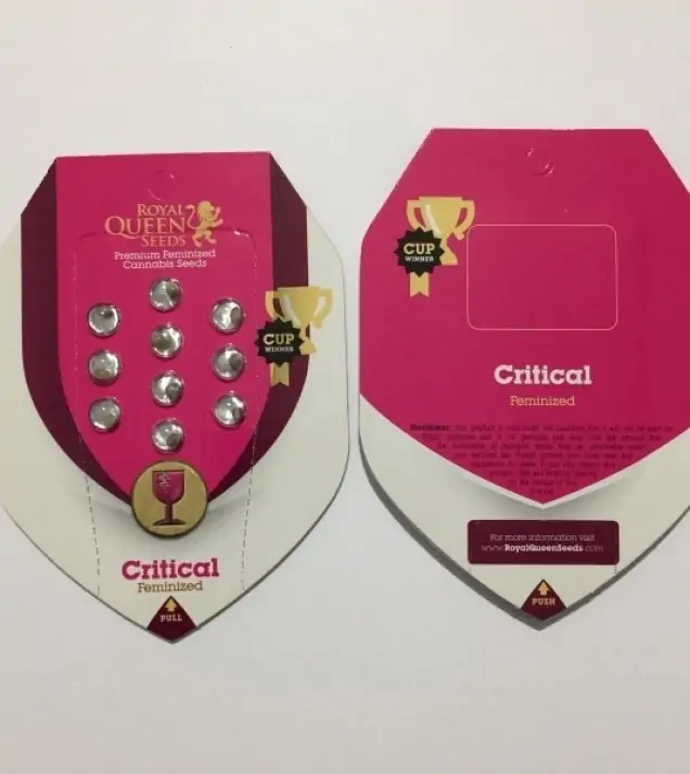 Critical SOLDES