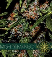 Mighty Mango Bud