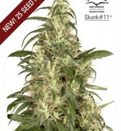 Skunk 11