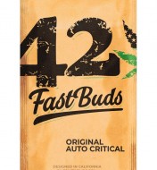 Original Auto Critical