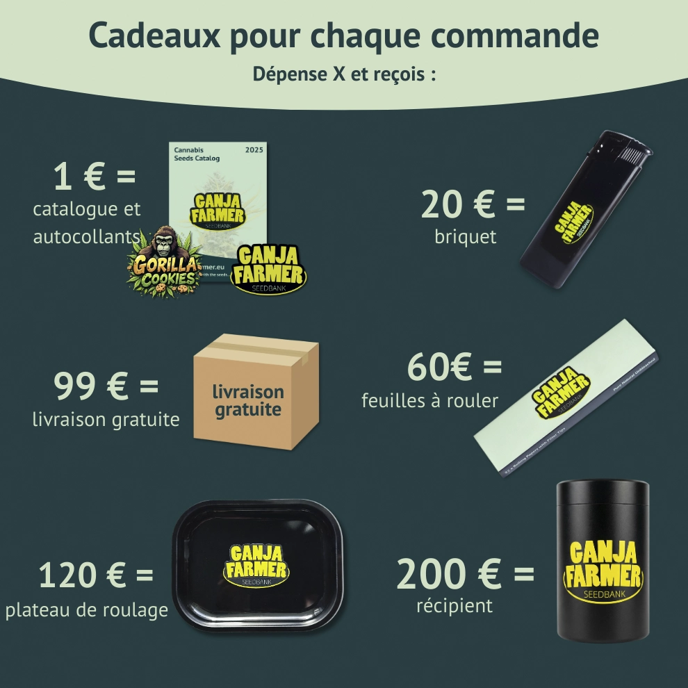 gadgets et cadeaux