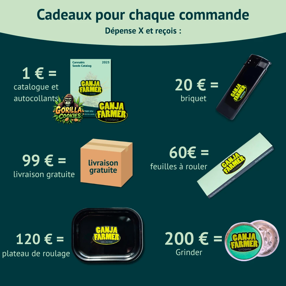 gadgets et cadeaux