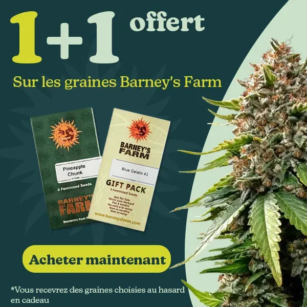 Barney's Farm 1+1