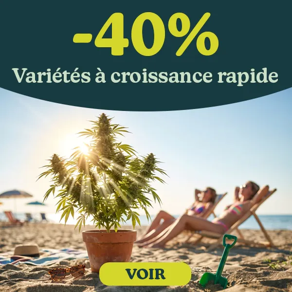 -40% Vari&eacute;t&eacute;s &agrave; croissance rapide