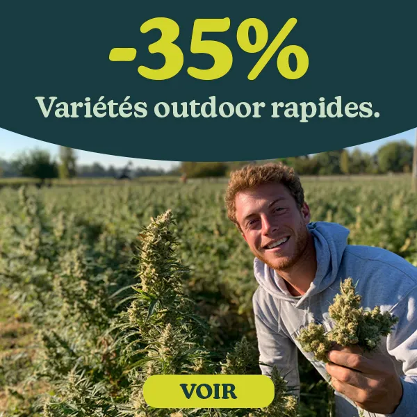 -35% Graines &agrave; Croissance Rapide d'ext&eacute;rieur