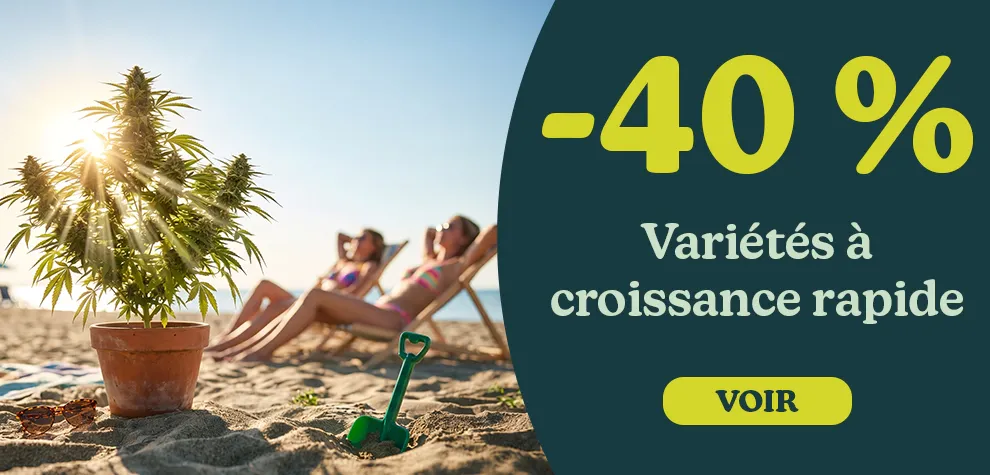 -40% Vari&eacute;t&eacute;s &agrave; croissance rapide