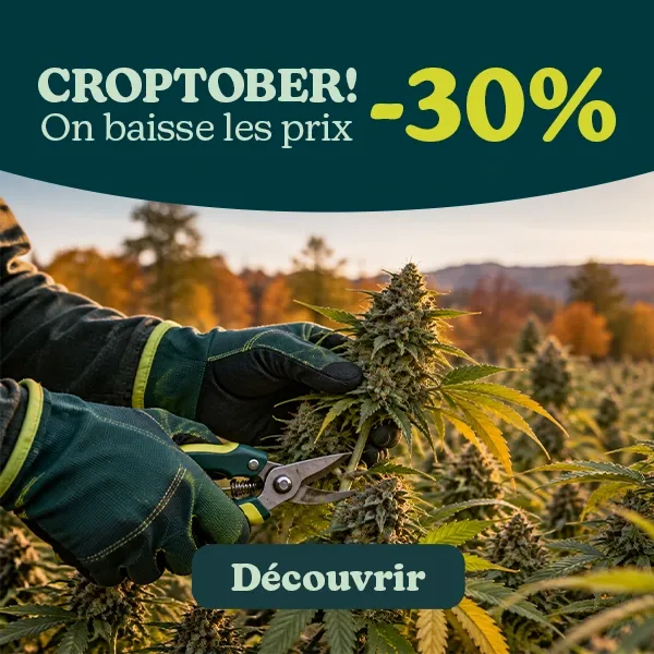 Croptober