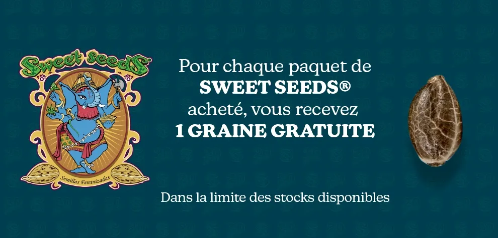 Graine gratuite Sweet Seeds