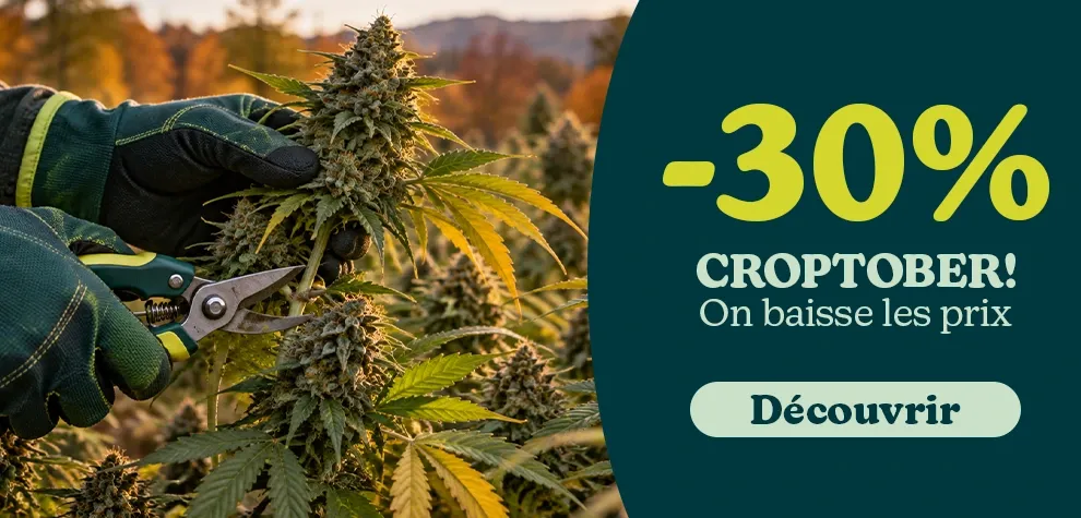 CROPTOBER – jusqu’à 30 % de réduction !