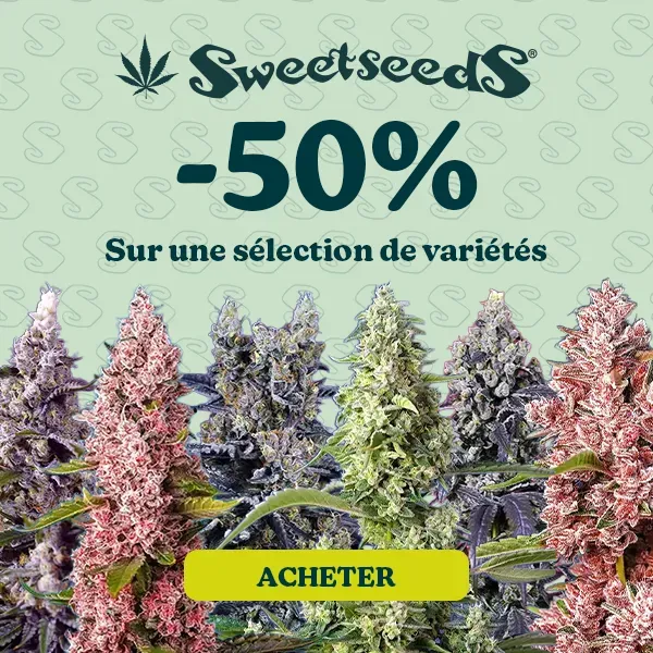 Sweet Seeds -50%