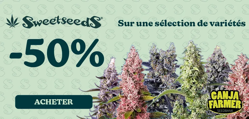 Sweet Seeds -50%
