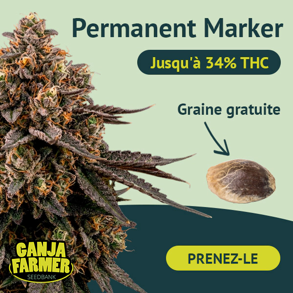 Dołącz do newslettera