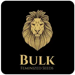 Bulk Feminized Seeds