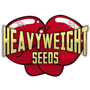 Heavyweight Seeds