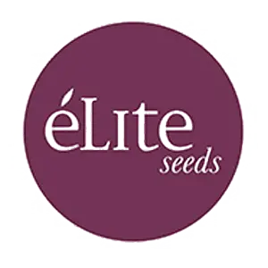 Elite Seeds